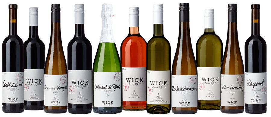Weingut Wick - Regent, Rotwein trocken