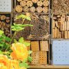 Geschenk-Gutschein – Bild 3