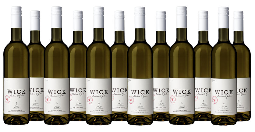 Weingut Wick - Regent, Rotwein trocken