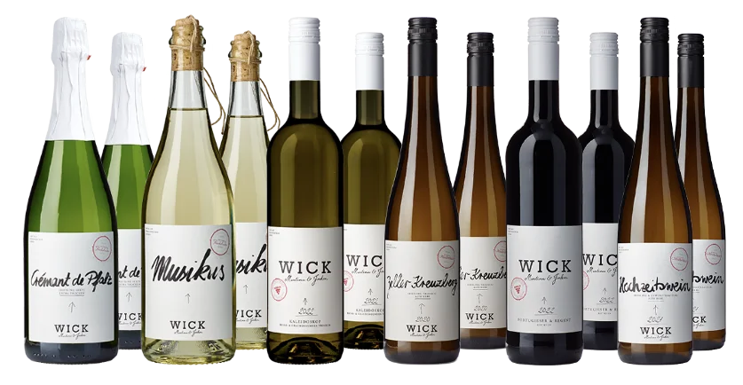 Weingut Wick - Regent, Rotwein trocken