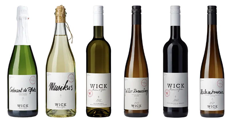 Weingut Wick - Regent, Rotwein trocken